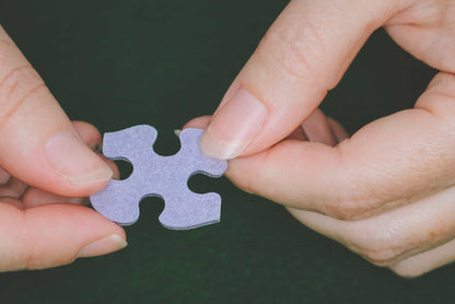 Friends in Winter (470pz) - 1000 Piece Jigsaw Puzzle